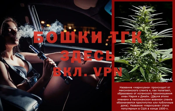 гидра Новоузенск