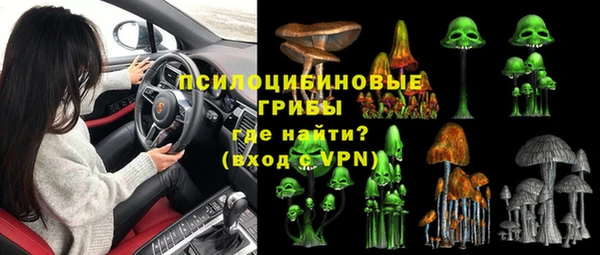 сатива Слюдянка
