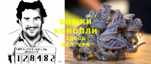 сатива Слюдянка