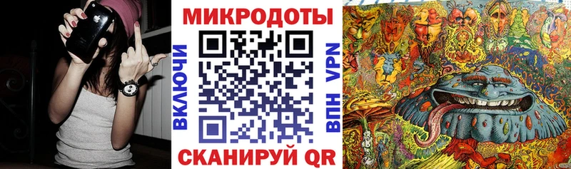 Псилоцибиновые грибы Cubensis  Судогда 