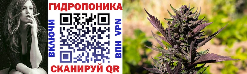 Каннабис конопля  Судогда 